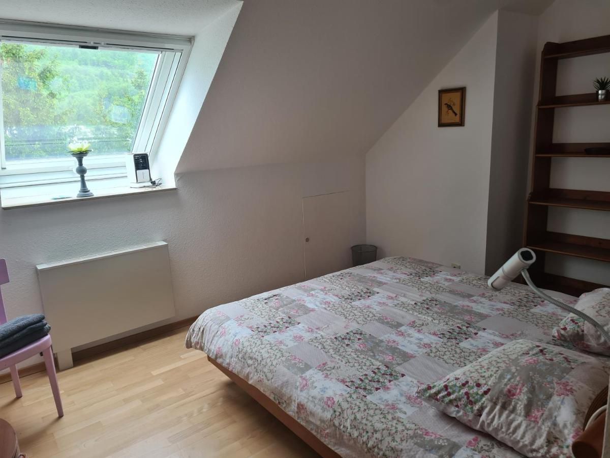 Appartement Paradiso Busingen am Hochrhein Extérieur photo
